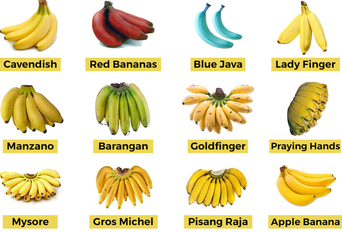 Interesting Facts About Bananas